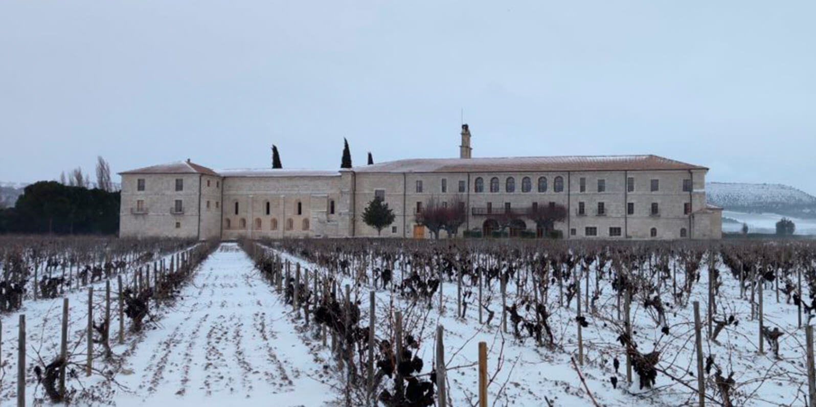 Pruning, an essential activity in the vineyard 2 Abadía Retuerta 02 nos vamos de poda Abadía Retuerta