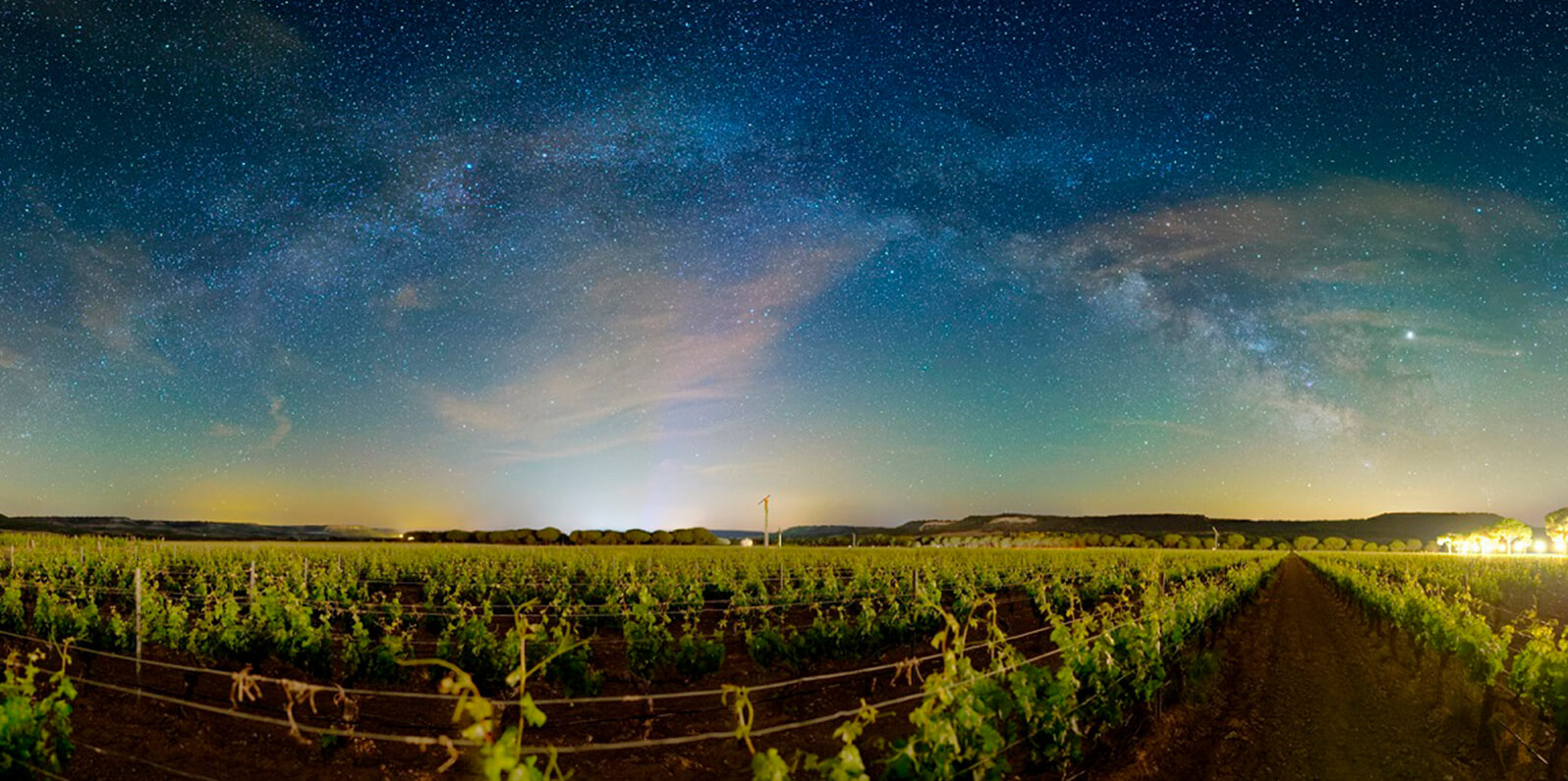 Tres experiencias que no te puedes perder este verano 2 Abadía Retuerta 02 tres experiencias Abadía Retuerta