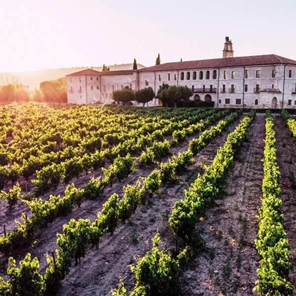 Three unmissable experiences for the summer 1 Abadía Retuerta DISTRIB tres experiencias Abadía Retuerta