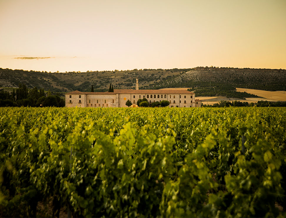 Mucho por lo que brindar 40 Abadía Retuerta Sin titulo 5 Abadía Retuerta