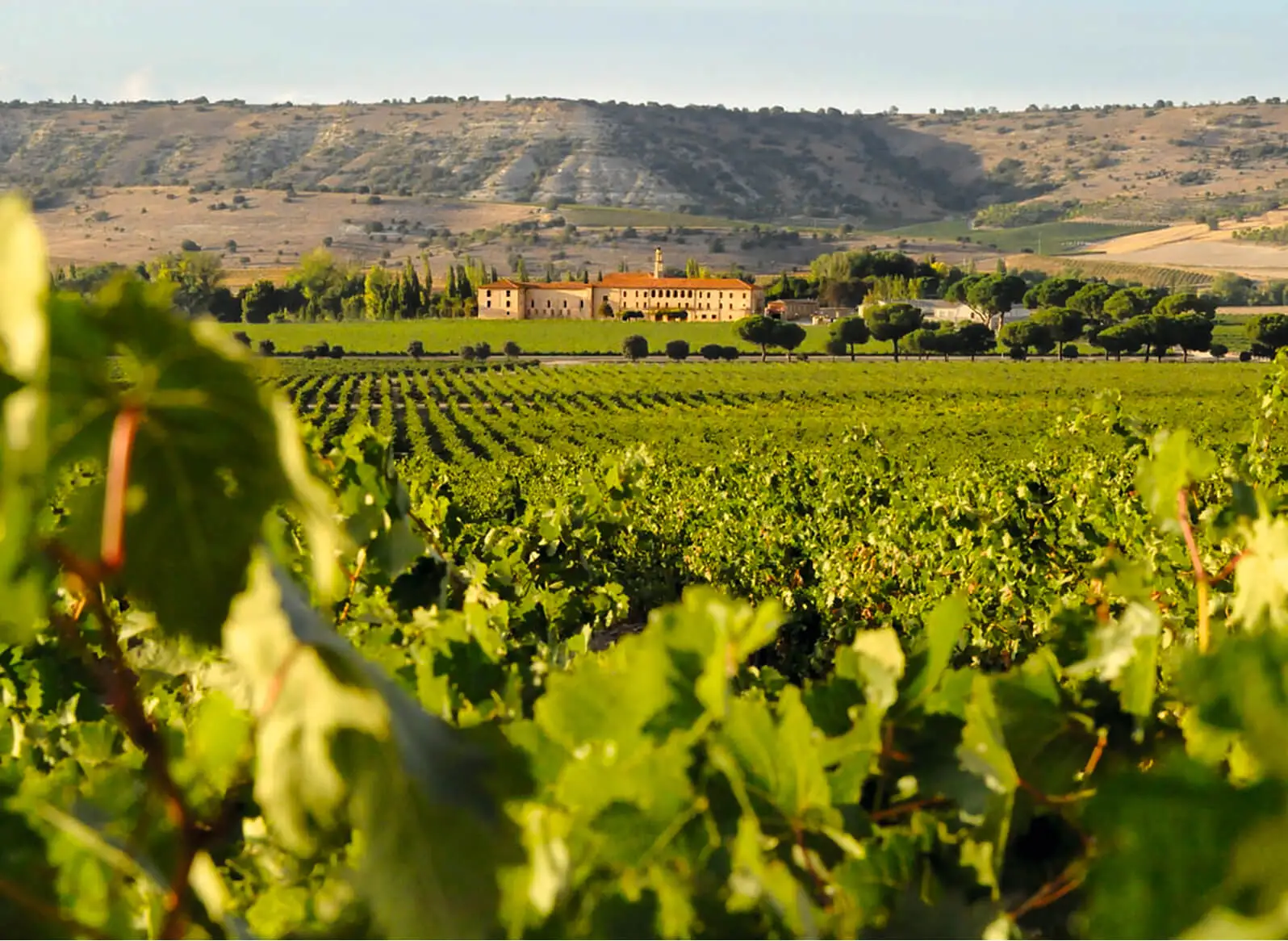 02-carrusel-abadia-romatica-desk-x2 H1NE