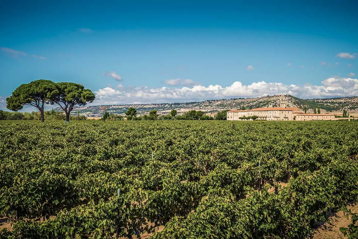 Abadía Retuerta Historia bodega BH2DOP Abadía Retuerta