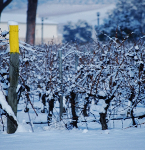 Abadía Retuerta academia metodologia clima desk x2 798x583 1 BH2AT Abadía Retuerta