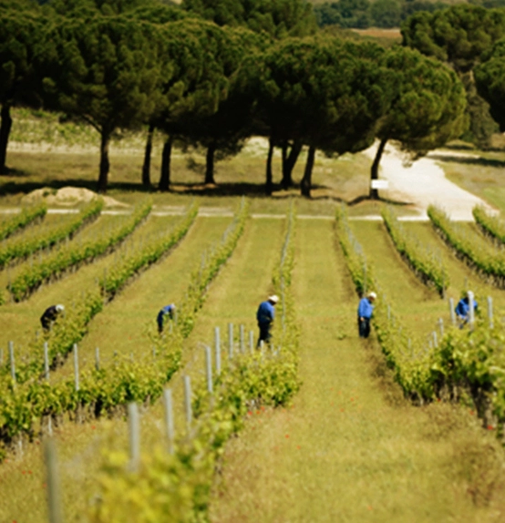 Abadía Retuerta academia metodologia factor humano desk x2 798x583 1 BH2AT Abadía Retuerta