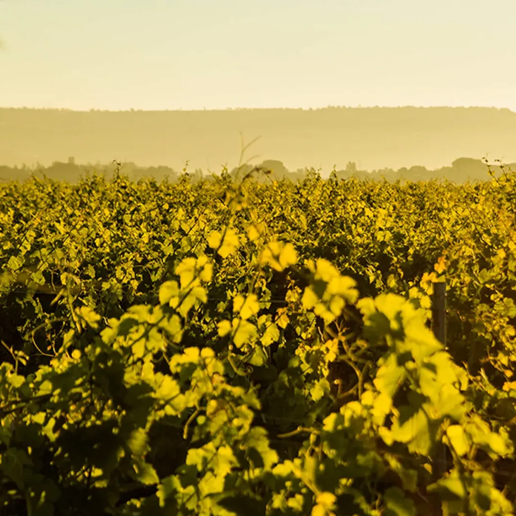 Abadía Retuerta image H1EC e1749824939717 Abadía Retuerta