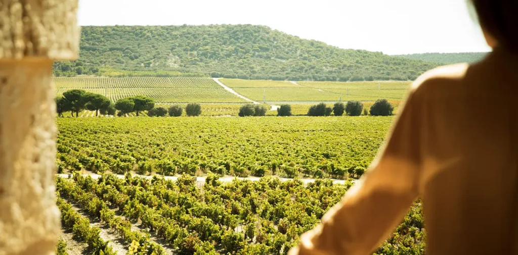 Abadía Retuerta Conozca a Abadia Desktop 1216x600 1 opt Abadía Retuerta