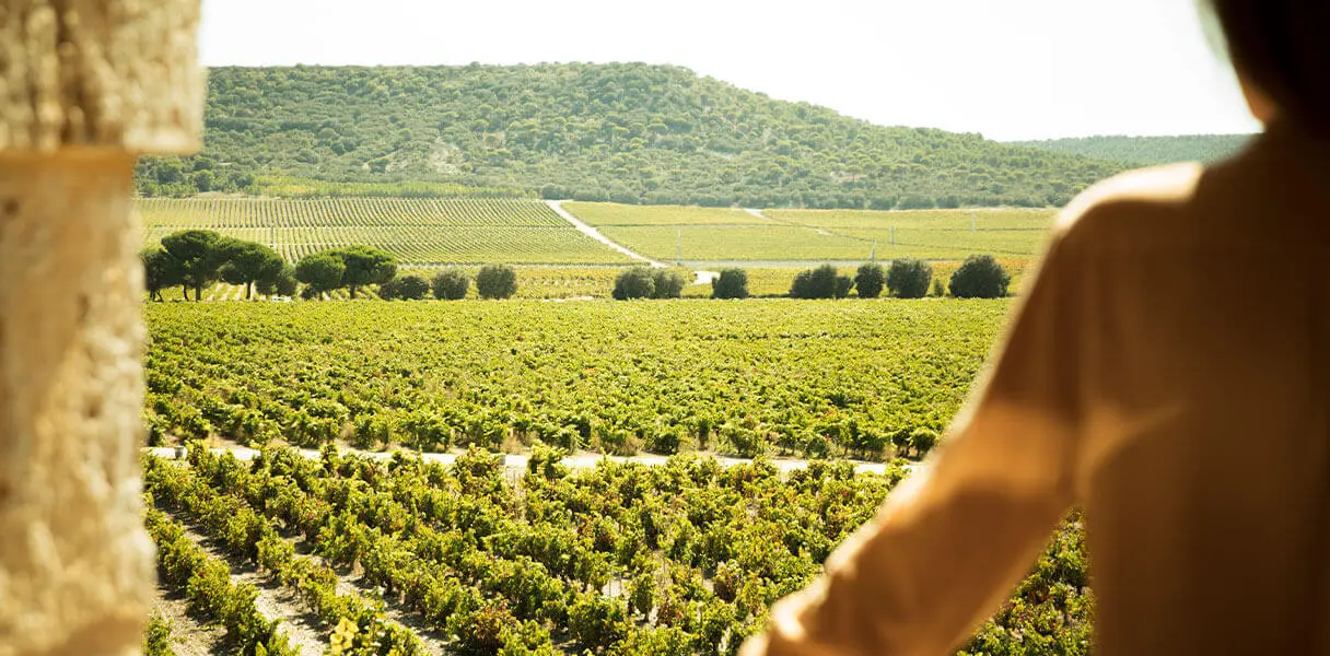 Abadía Retuerta LeDomaine under the night sky