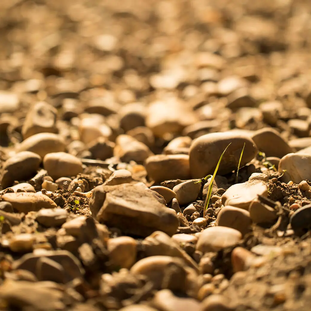 Abadía Retuerta home image 11 Abadía Retuerta