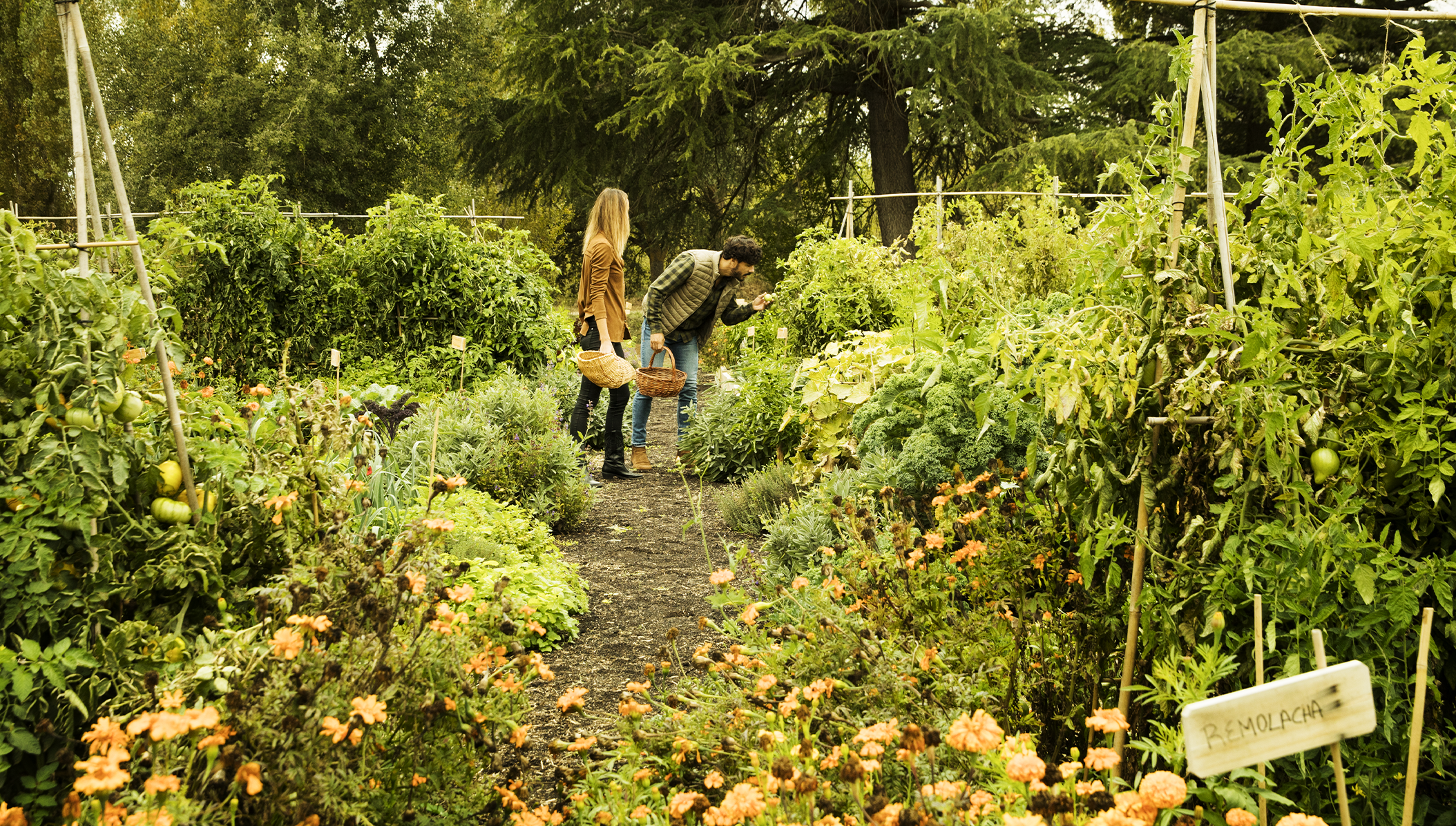 Teambuilding 4 huerto-teambuilding CC1T1