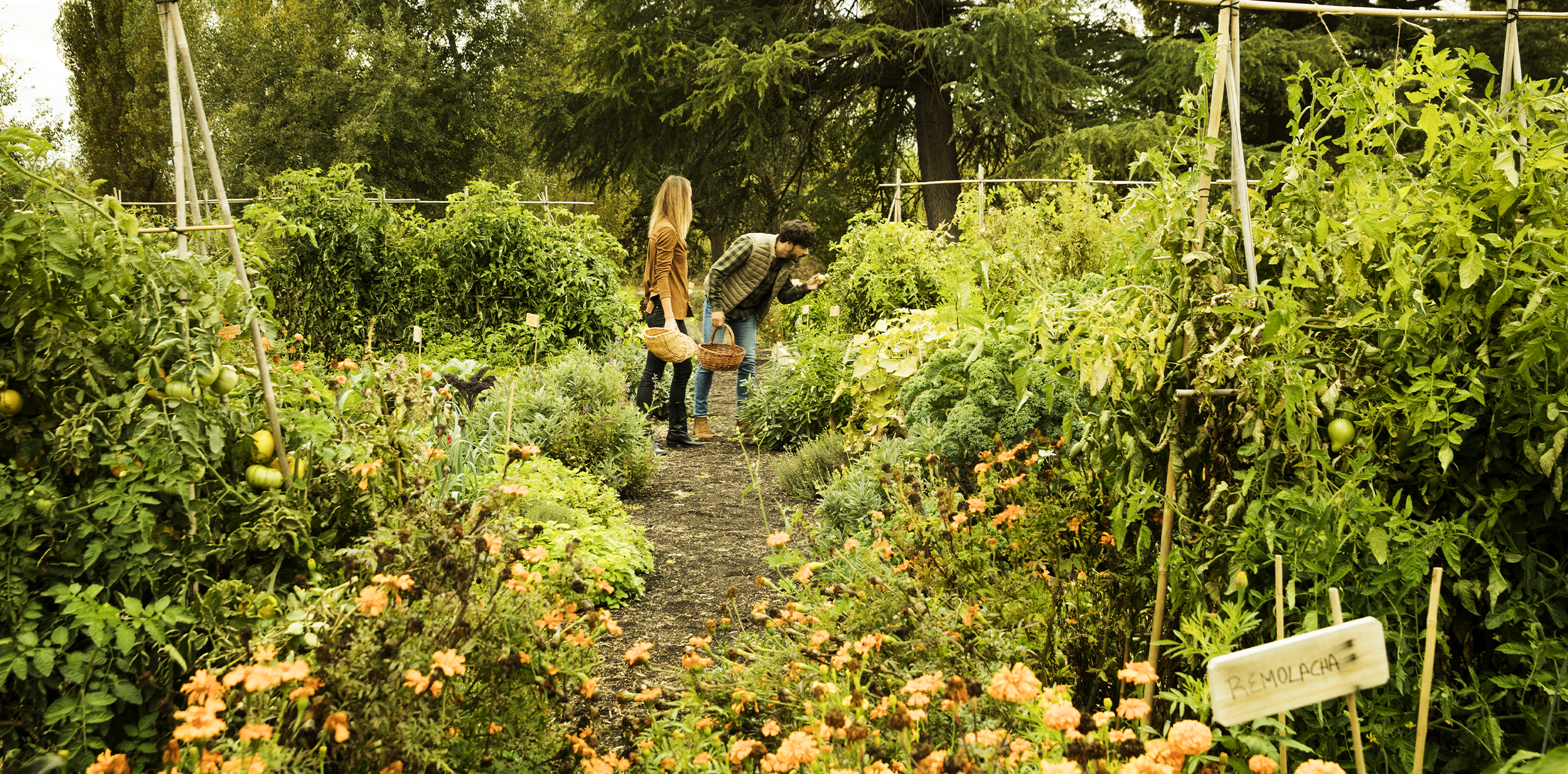 huerto-teambuilding CC1T1