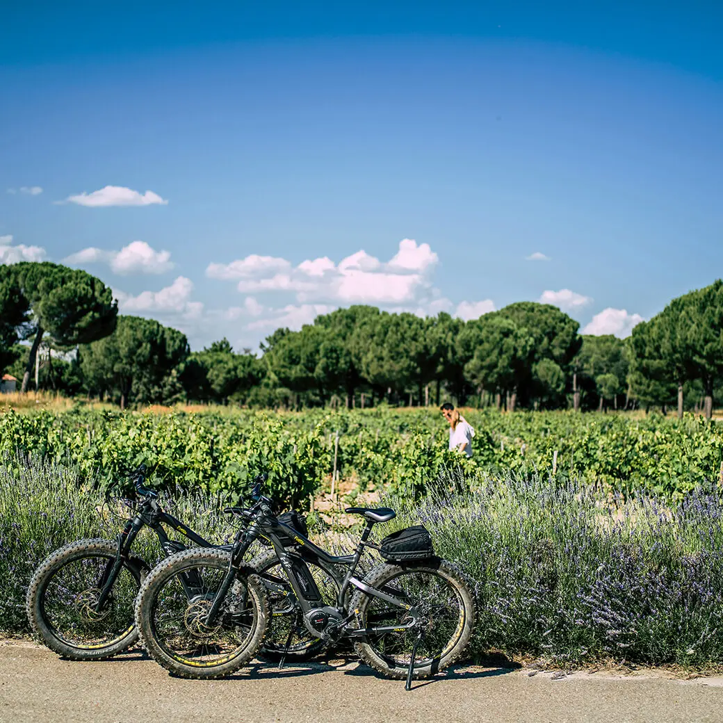 Abadía Retuerta image 2 EUEU1S6 Abadía Retuerta