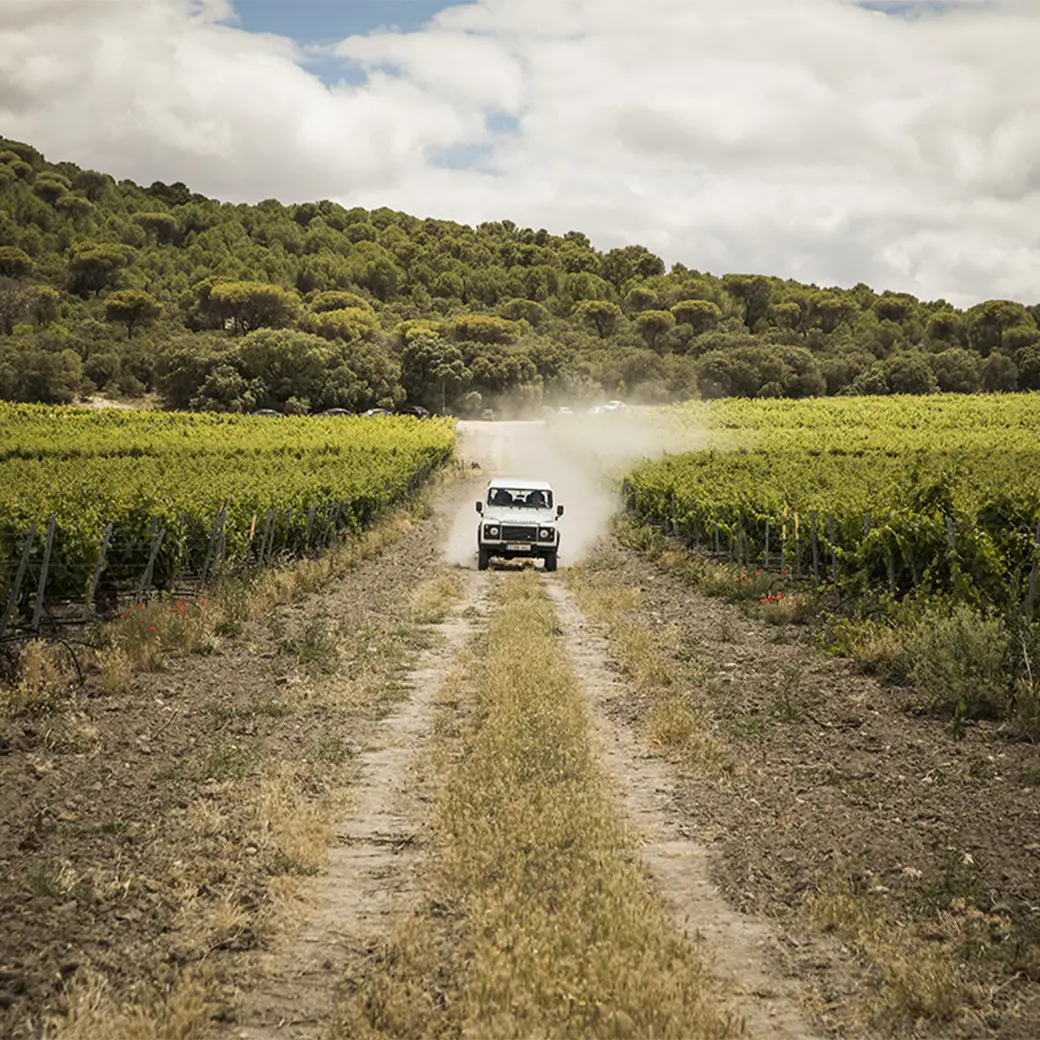 Abadía Retuerta image 5 CC1P1 Abadía Retuerta