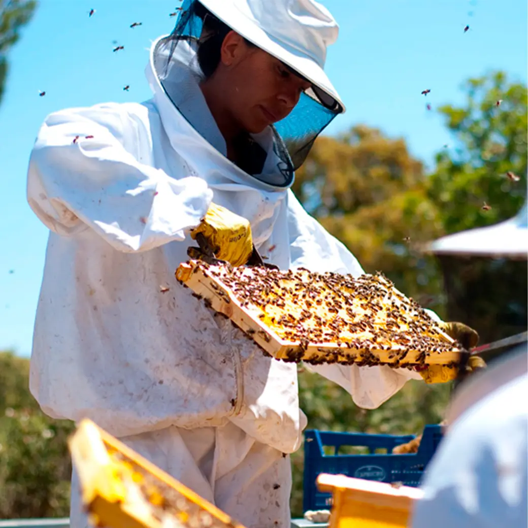 Abadía Retuerta image 5 EUEU1S6 Abadía Retuerta