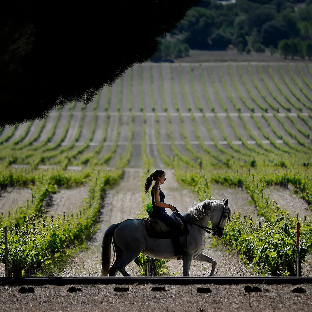 Abadía Retuerta image EUEU1S6 Abadía Retuerta