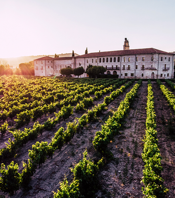 Abadía Retuerta conocenos rse informe17 desk Abadía Retuerta