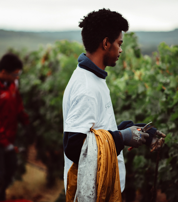 Abadía Retuerta conocenos rse informe18 desk 381x381 1 Abadía Retuerta