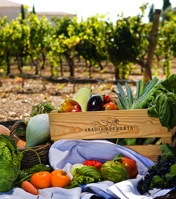 Abadía Retuerta conocenos rse informe19 desk Abadía Retuerta