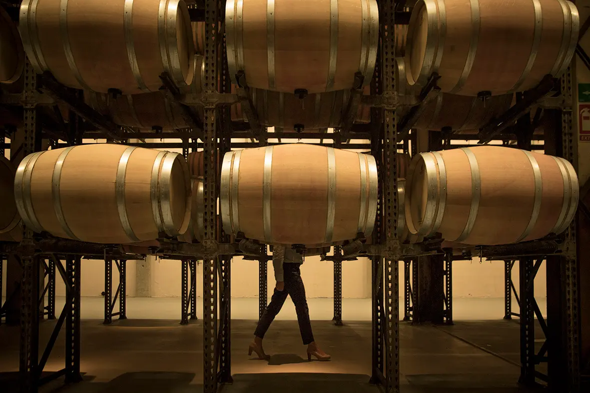 Cata de Barricas 1 image (22)