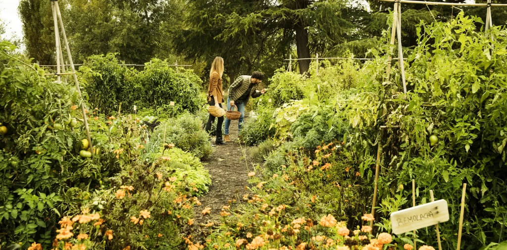 Abadía Retuerta image 62 Abadía Retuerta