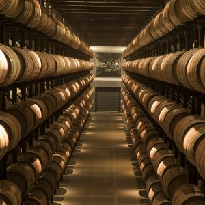 E-BOX- Unterkunft und Besuch