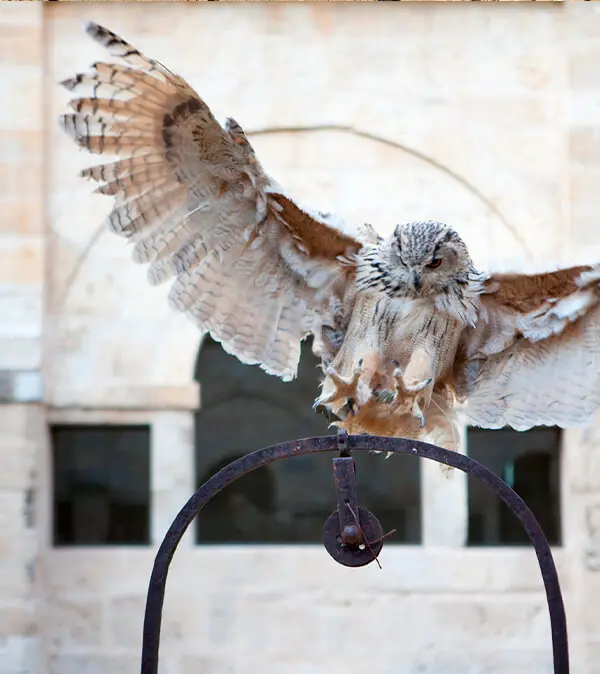 Abadía Retuerta lkoophgutkjj Abadía Retuerta