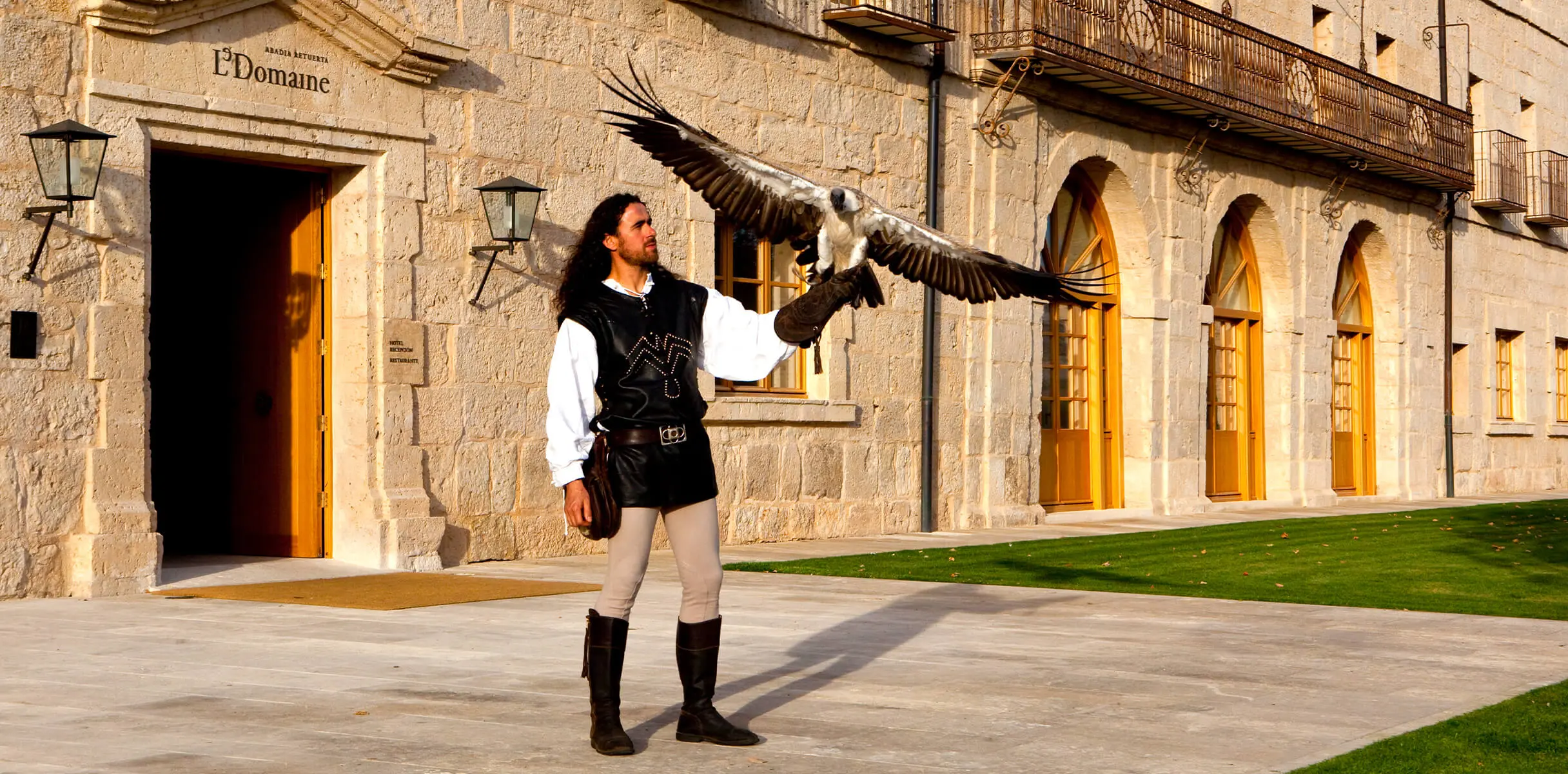 Cetrería 1 wedwed33423dadwlkfwe