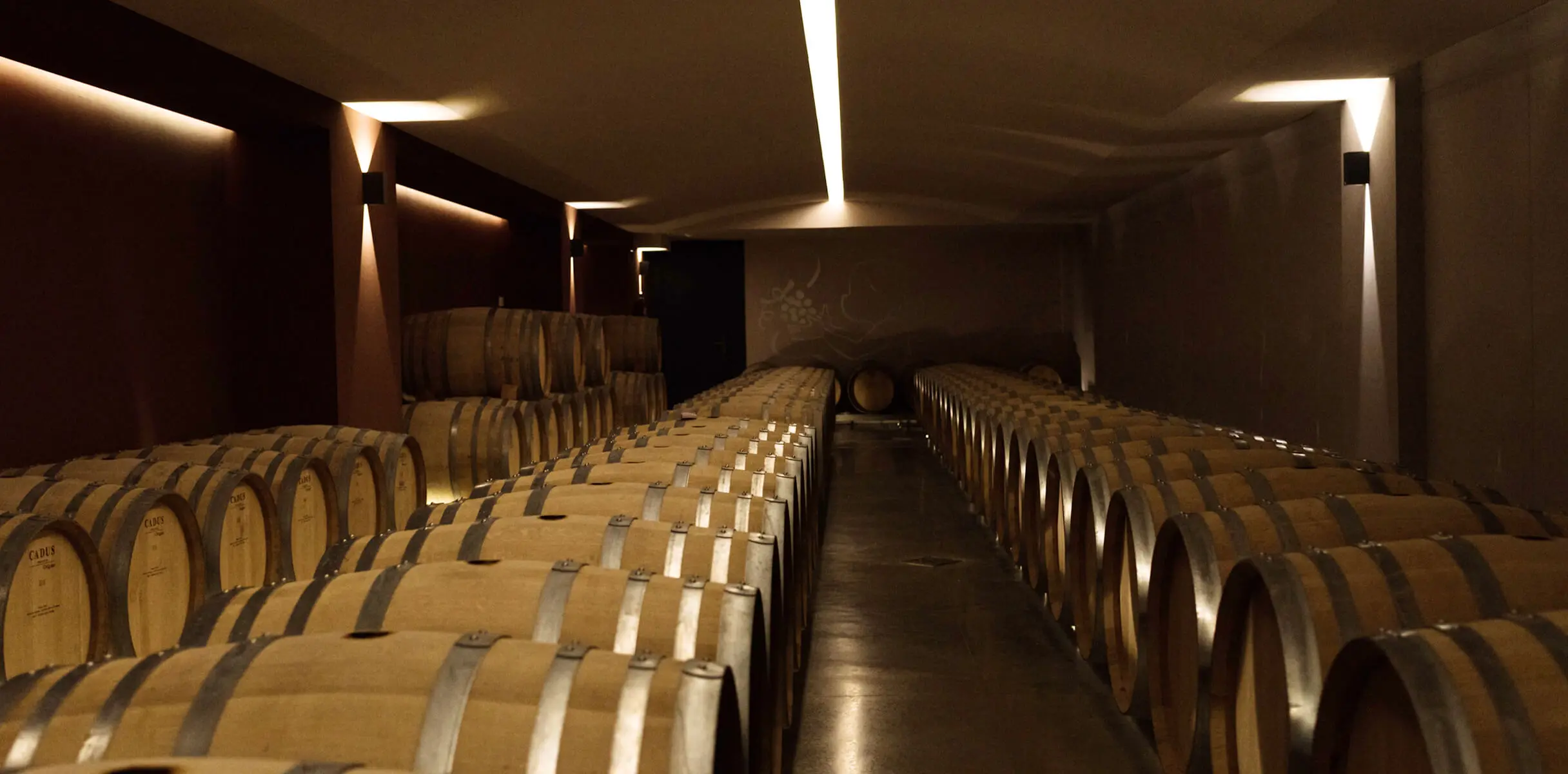 Cata de gama completa 1 wedwedwed223e2eqw