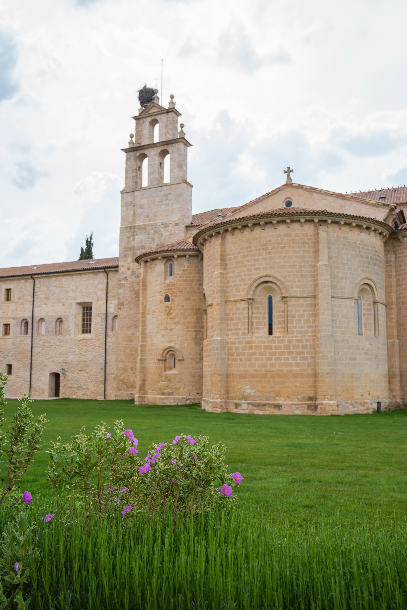 Pago Negralada: A Premium Tempranillo Experience