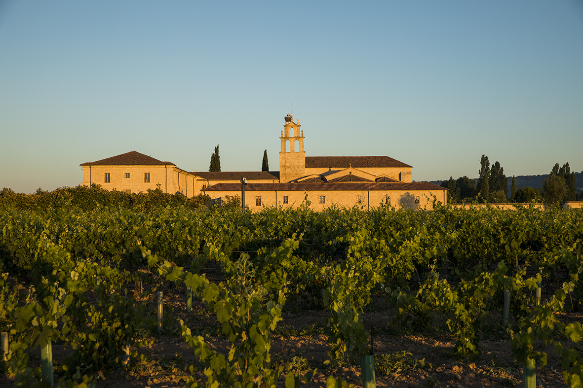 Cata de Barricas 2 Vistas hotel_ Abadia Retuerta (6)