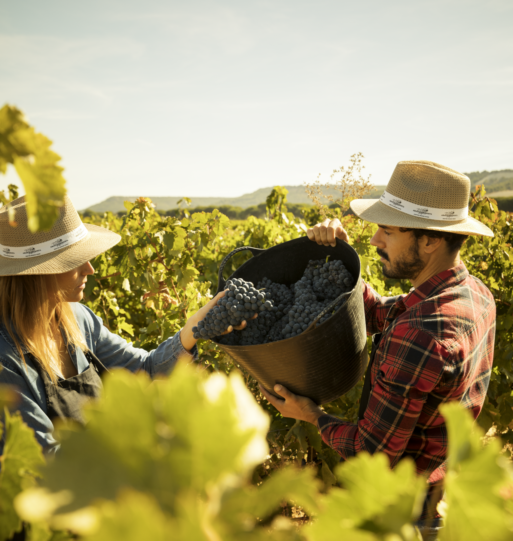 Abadía Retuerta Experiencia Vendimia Abadia Retuerta 1 scaled e1768838988578 Abadía Retuerta