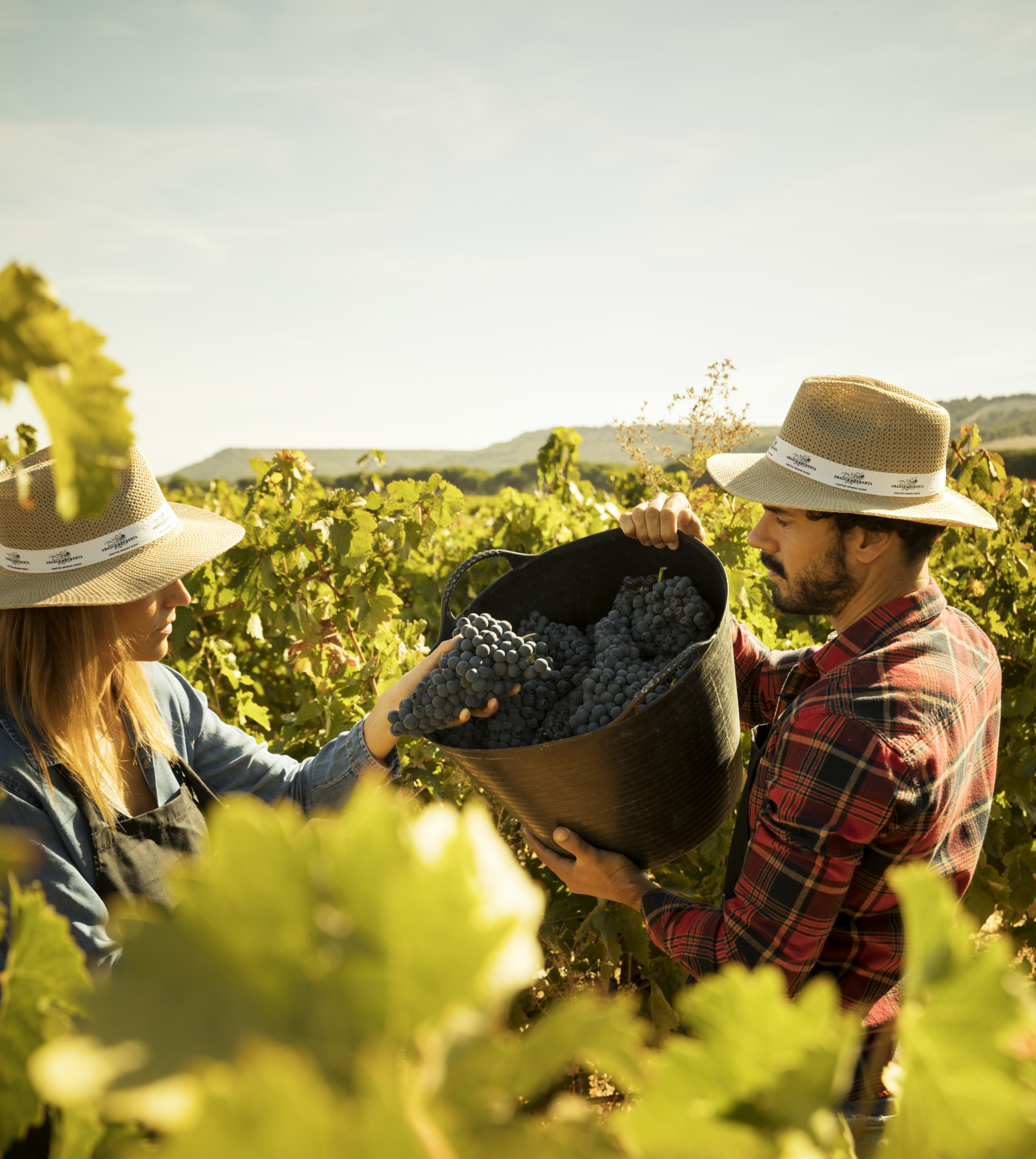 Abadía Retuerta Experiencia Vendimia Abadia Retuerta scaled e1768838740777 Abadía Retuerta