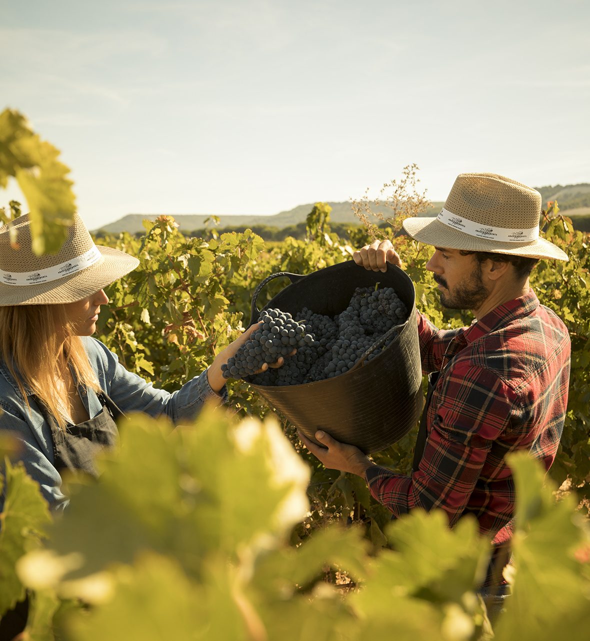 Abadía Retuerta J6A2099 e1768838028640 Abadía Retuerta