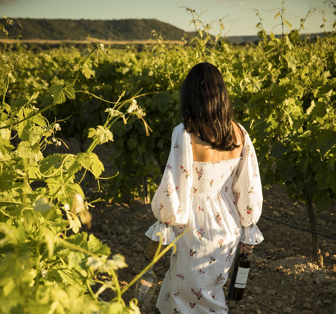 Abadía Retuerta Vino aspiracionales Abadia Retuerta 4 1 e1768839094892 Abadía Retuerta