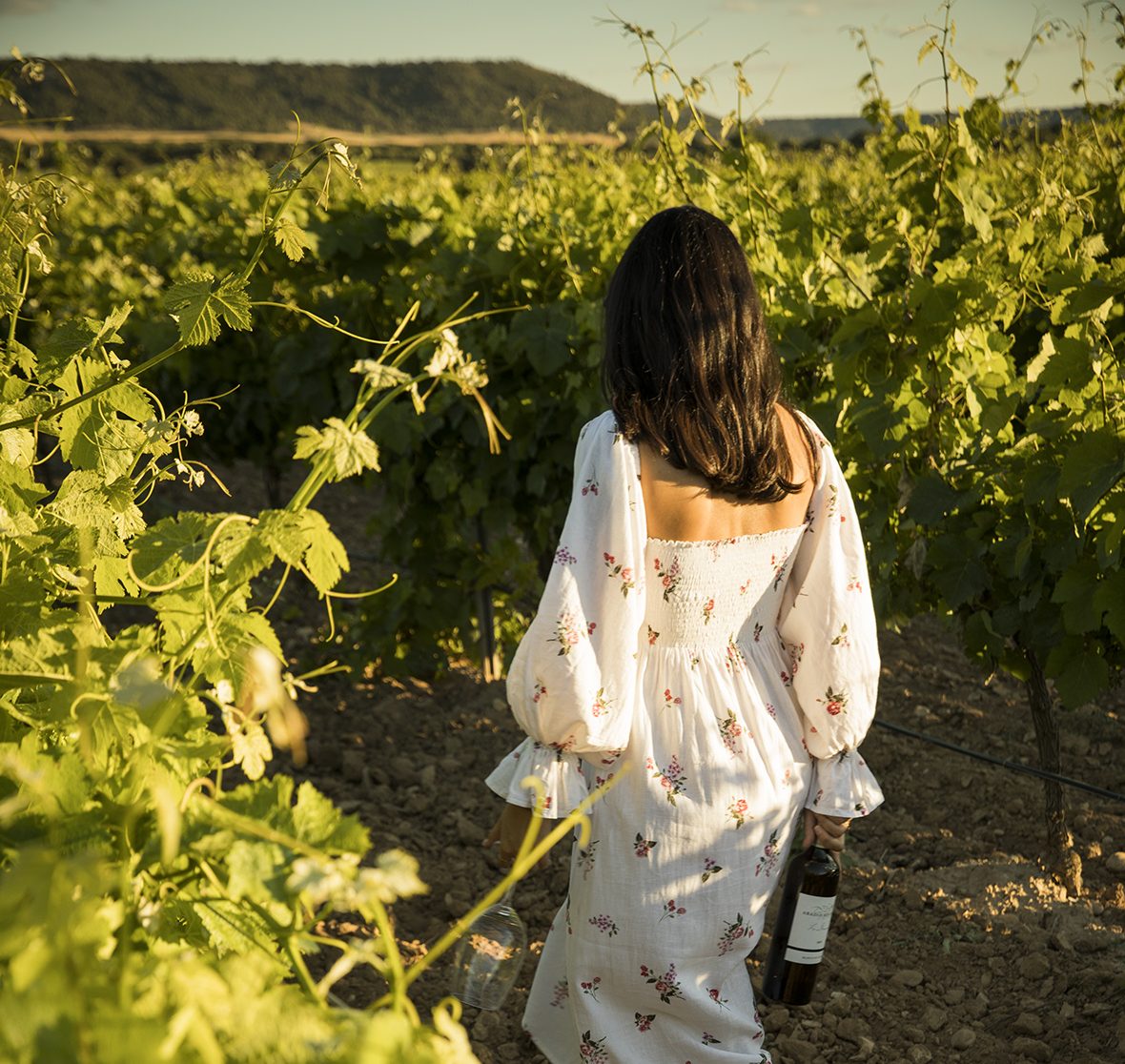 Abadía Retuerta Vino aspiracionales Abadia Retuerta 4 e1768837913334 Abadía Retuerta