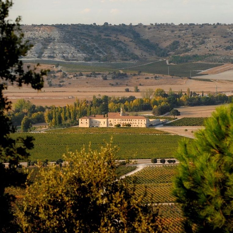 Inmersión Enológica 1 visita finca