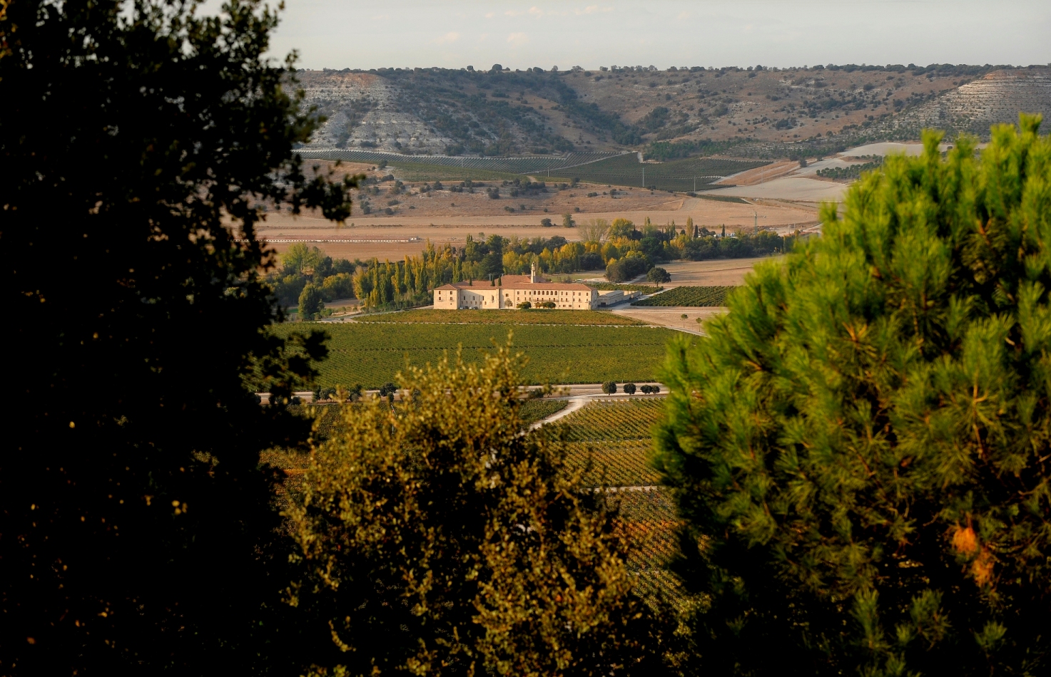 Abadía Retuerta Vistas finca Abadia Retuerta Abadía Retuerta