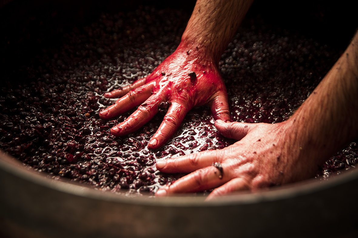 proceso_Abadía Retuerta (8)