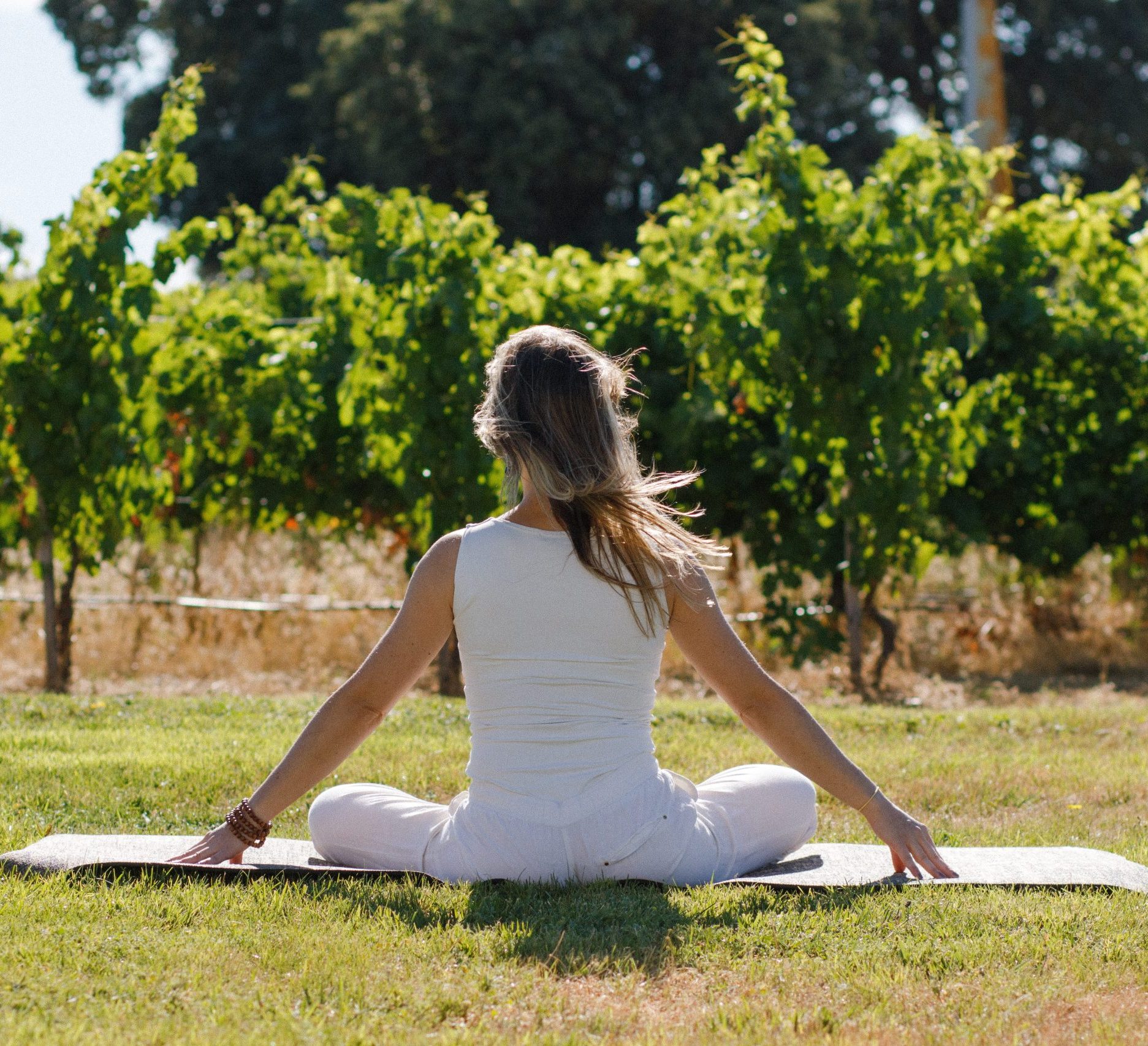 Abadía Retuerta Experiencia Yoga vinedos AbadiaRetuerta 11 scaled e1770209837842 Abadía Retuerta