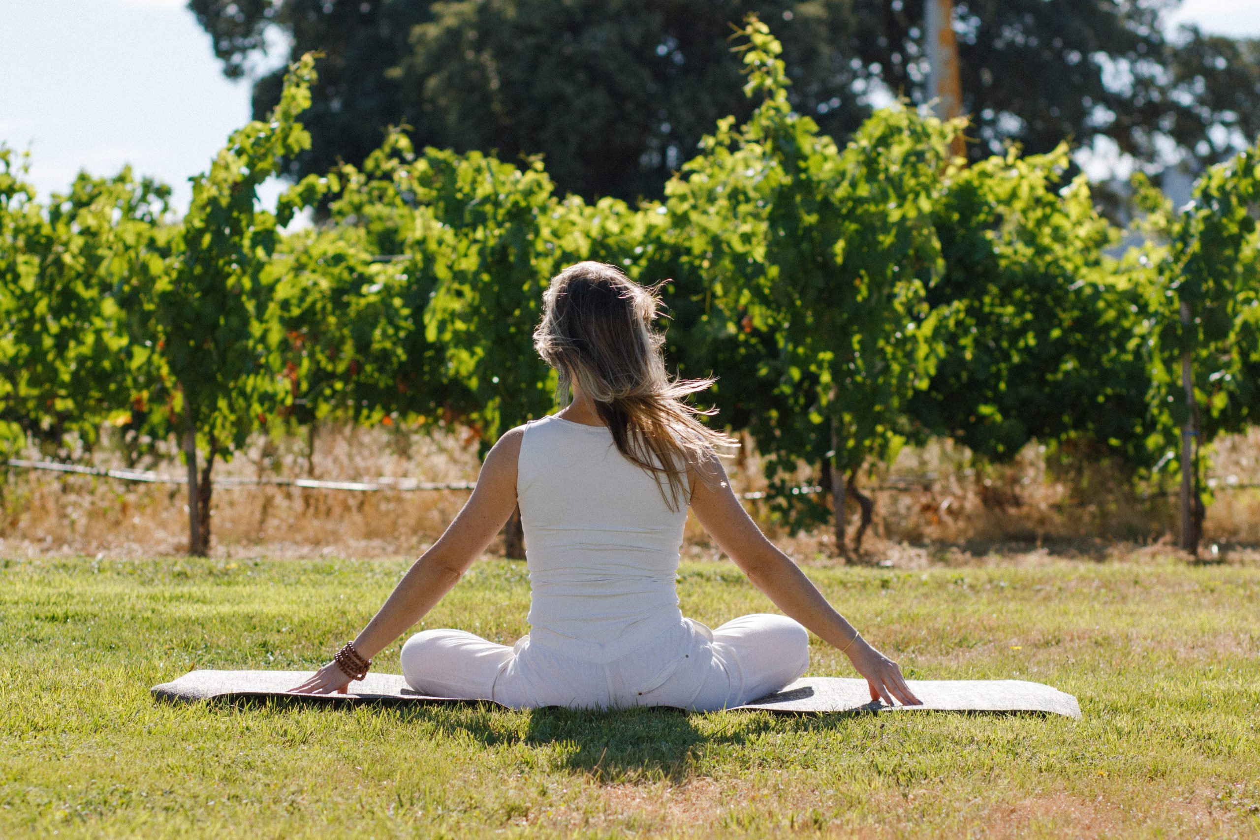 Abadía Retuerta Experiencia Yoga vinedos AbadiaRetuerta 11 1 scaled 1 Abadía Retuerta