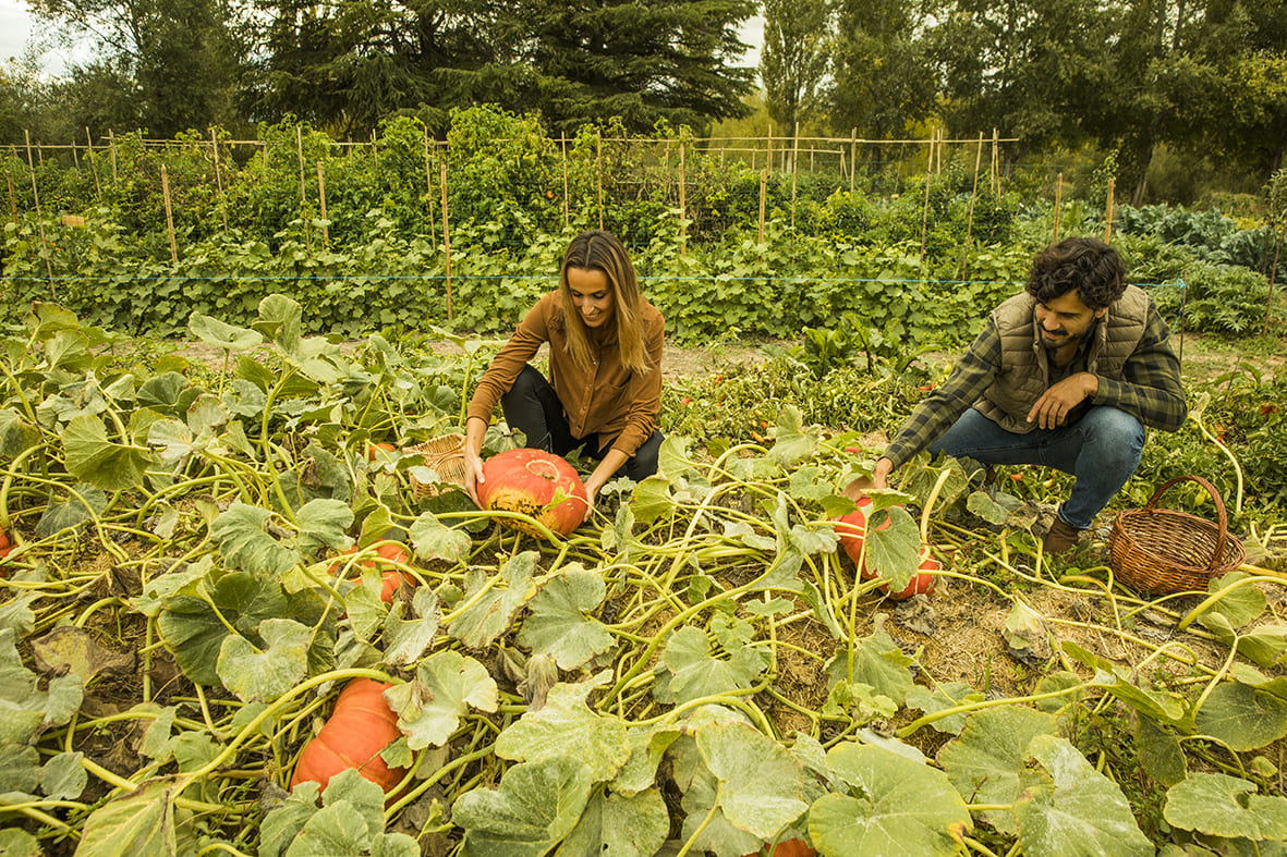 Huerto aspiracionales_ Abadia Retuerta (6)
