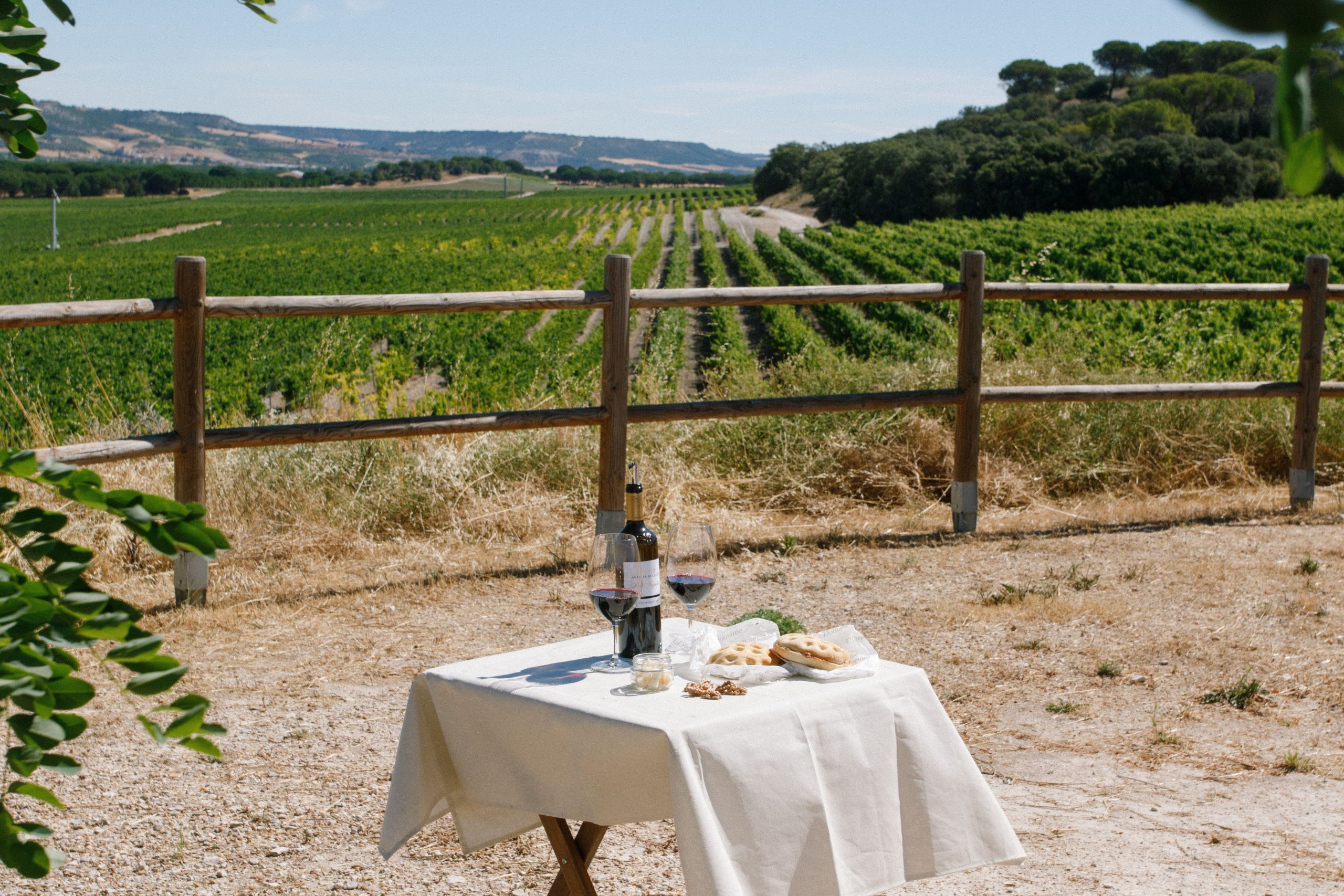 Aperitivo Campero 1 IMG_6061