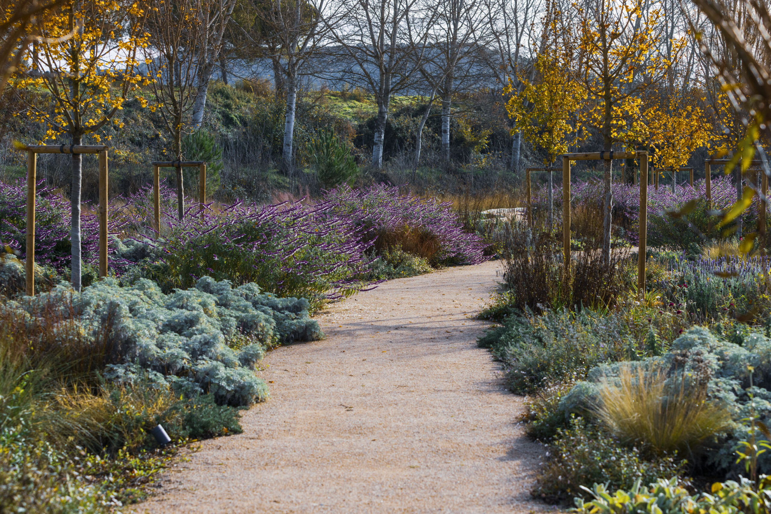 Abadía Retuerta el jardin 20 scaled Abadía Retuerta